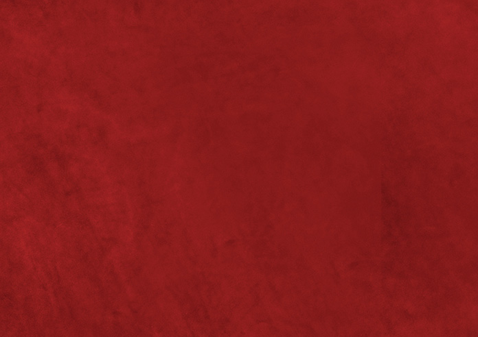 Odessa Velvet, Scarlet - Roman Blind - Image 7